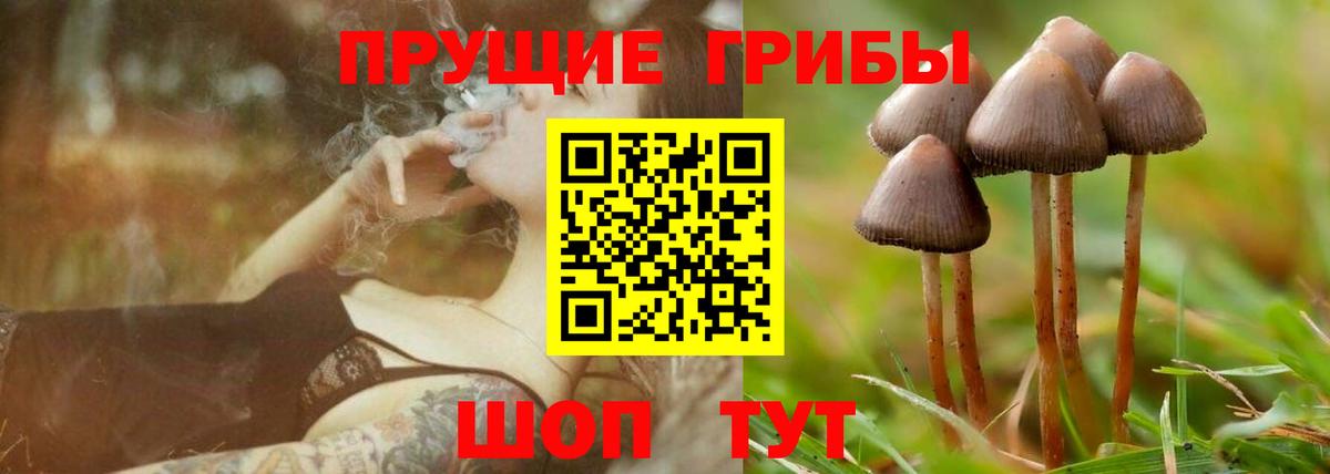 Учалы  Псилоцибиновые грибы ЛСД  Вход с VPN 